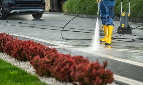 Best Driveway Pressure Washing  in Cambridge City, IN